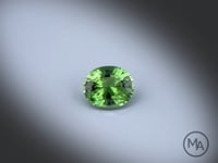 Vidéo d’une tourmaline verte naturelle ovale facettée de 1.02 ct, de couleur vert soutenu, rotation sur un fond gris clair.