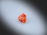 Vidéo d’un Grenat Spessartite naturel trillion facetté de 1.69 ct, originaire du Nigeria, de couleur orange intense Mandarin, pierre précieuse tournant sur un fond gris clair.
