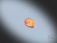 Vidéo d’un Grenat Spessartite naturel ovale facetté de 0.66 ct, de couleur orange prononcé, pierre fine tournant sur un fond gris clair.