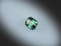 Saphir bicolore naturel de 1.17 ct, originaire d’Australie, taillé en rectangle à pans coupés et facetté, mêlant bleu-vert et vert-jaune, présenté en rotation sur fond gris clair.