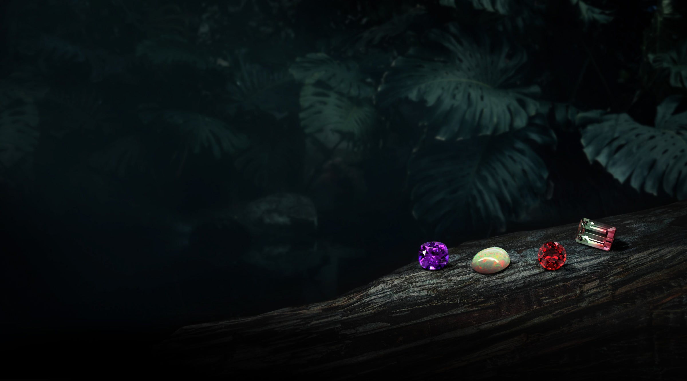 Pierres fines naturelles dans une forêt luxuriante : améthyste violette, tourmaline bicolore, grenat rouge et opale brillante.