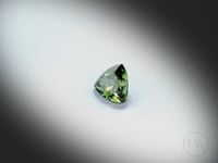 Vidéo d’un saphir vert naturel trillion facetté de 1.20 ct, originaire d’Australie, de couleur vert-jaune soutenu, tournant sur un fond gris clair. Certificat non traité.