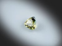 Vidéo d’un saphir bicolore naturel trillion facetté de 1.46 ct, originaire d’Australie, présentant des nuances naturelles de jaune et de bleu-vert, gemme tournant sur un fond gris clair.