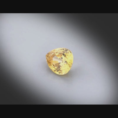 Vidéo d’un zircon jaune poire facetté 3,37ct, teinte jaune soutenue, pureté excellente, inclusion discrète uniquement visible de dos, origine Sri Lanka